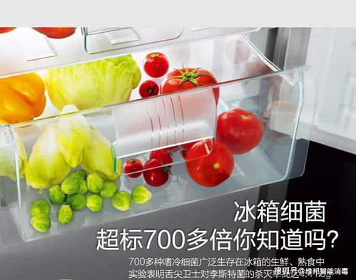 臭氧在食品行业是如何运用的