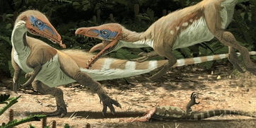 恐龙是怎么演化为鸟类的