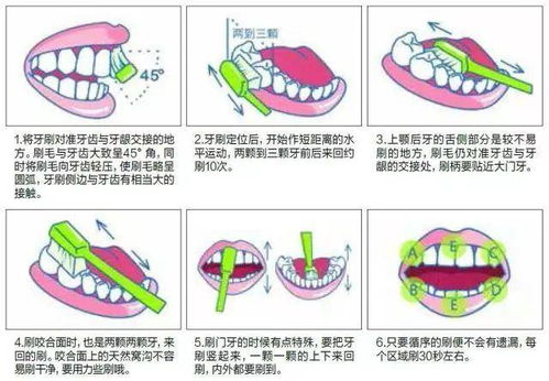 刷牙前不能沾水 没牙了也要刷 史上最全的刷牙知识送给您