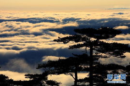 关于雨后被山的美景所迷诗句