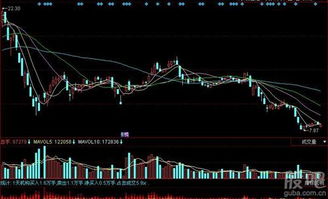 请教问题，大幅跌破拟增发价格的股票，会调低增发价吗