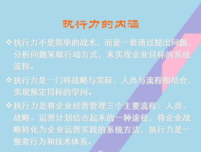 现代企业夭折启示录 解决战略模糊执行力不够的企业战略与执行力