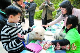 广州酝酿成立养犬自律组织 引导市民文明养犬 