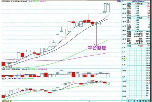 5日均线与K线之间的关系是什么