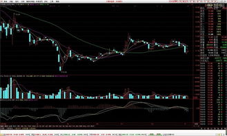 我在中原证券公司开户炒股、它的收费让我不明朗，例：我394元／手、应该交多少委托费啊？扣11元！对？