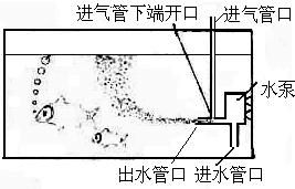 如图所示的画面是鱼缸中过滤增氧泵增氧工作时的情景.水泵把水从进水管吸入.从出水管快速喷出时.空气就会从进气管进入水中.与水流一起喷出. 1 请根据所学的物理知识解释空气为什么会进入水中与水流一起 