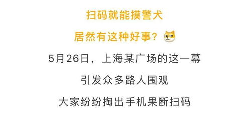 秘密教学免费下拉式不扫码(AirTag 深度体验：把它拴在宠物身上，靠谱吗？)