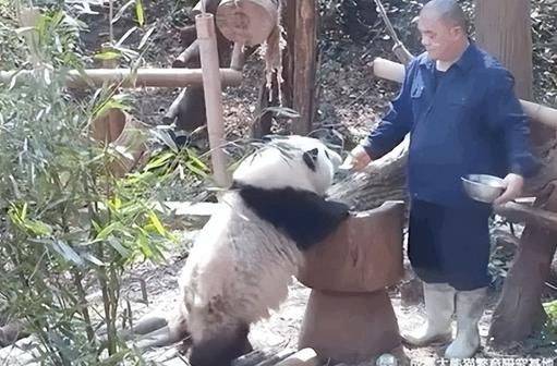 共赴大运之约 花花 喊你果赖