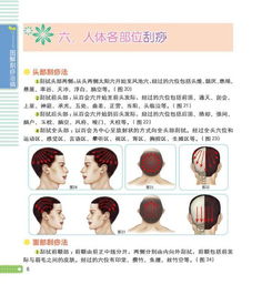 头部刮痧的功效 