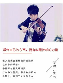 唐养身提琴(唐(tang)养身提琴：探寻音乐之魂，绽放艺术之美！)