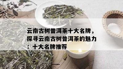 真正农村茶叶品牌排行榜,普洱茶十大知名品牌