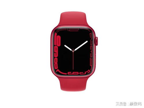 这个双11,如何正确地挑选Apple Watch