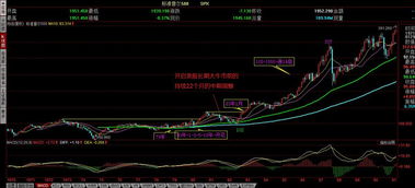 股票投机什么意思啊？