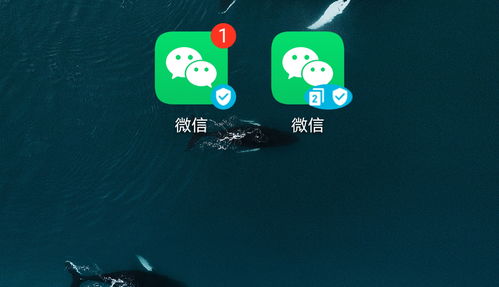 苹果iPhone手机用户的八个显著特征 你都符合吗