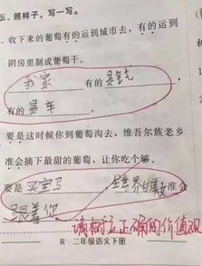 花价值造句（价值的价形近字？）