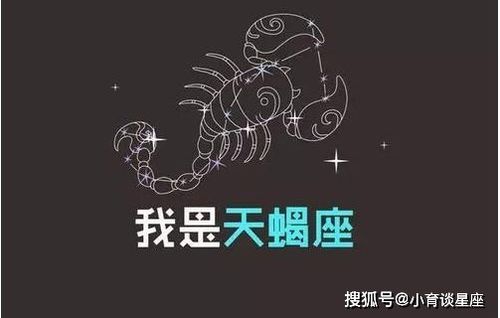 我行我素,敢作敢为,很少会半途而废的星座