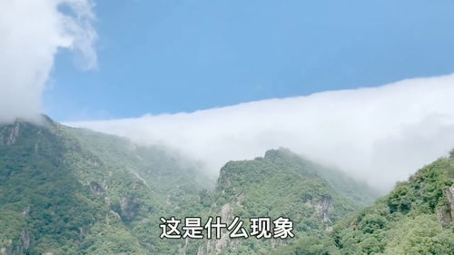 平平的云,高高的山,什么现象 