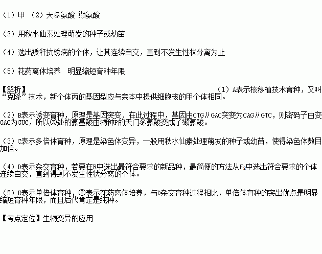 杂交育种图解 信息图文欣赏 信息村 K0w0m Com