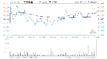 苏宁电器的成长性怎么样？