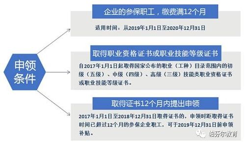 考国税局需要什么条件