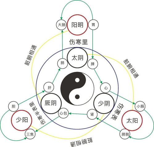 太阴在财帛宫（财富之星，璀璨闪耀！）