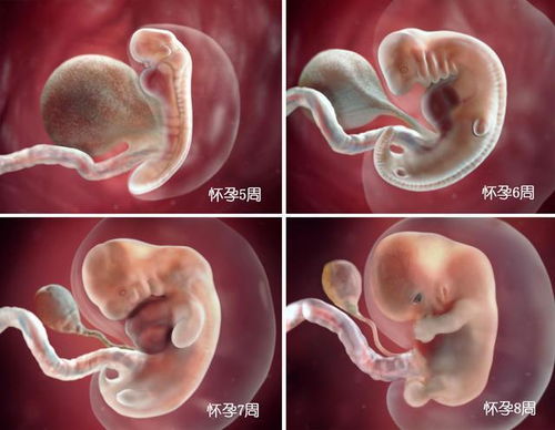 原创怀孕后，孕育胎儿的神奇之水“羊水”或许会出现不同状况，莫忽视