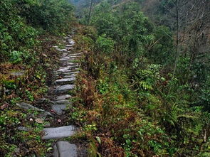 山西大同灵丘古道