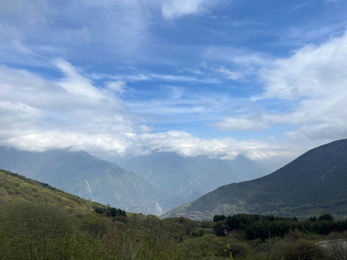 五一带娃出行 我在九顶山白龙池雪山下吃面 