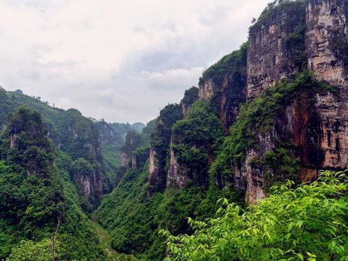 铜仁旅游景点大全,铜仁市有哪些旅游景点-第2张图片