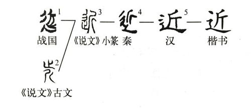 说文解字 第273课 细说 近 字