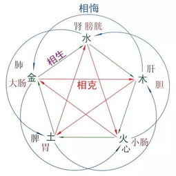 为什么脾不好,所有的减肥都是耍流氓呢 内附补脾减肥法 