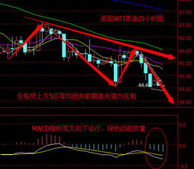 请高手帮我看看股票红太阳的基本面如何，技术面如何？