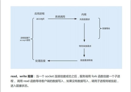 深入了解查重公式：原理、应用与优势