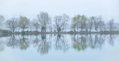 什么叫踏歌声 忽闻岸上踏歌声全诗