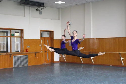 北京舞蹈学院舞蹈高考点亮梦想之舞，开启辉煌未来！