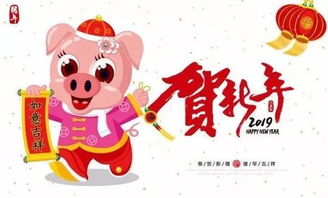 动之美体育艺术培训学校祝大家新年快乐