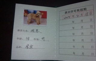北京养狗要办证吗 需要什么程序 