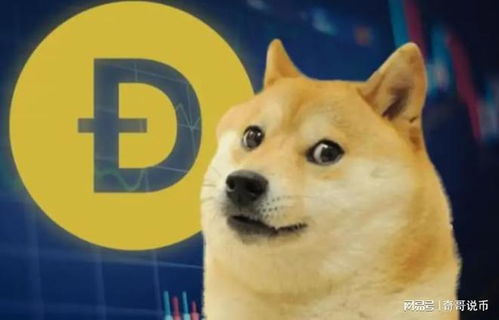 doge币最新消息马斯克,doge是什么币种？