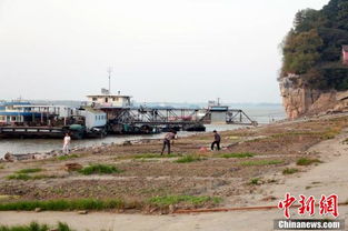 鄱阳湖水位骤降 裸露岸堤变身 开心农场 