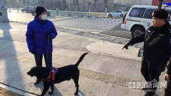 天暖了江边遛狗注意丨公园内禁止携犬进入,两只禁养犬被依法留检