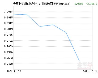 最新净值是4.7377 当前市值是971.99是什么意思