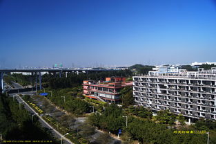 广东省美术本科大学有哪些学校