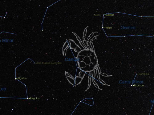 财运旺盛,事业飙升,吉星高照的三大星座