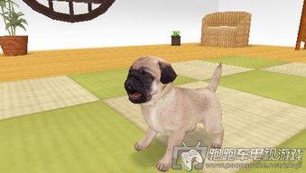 PSP索尼狗下载 PSP狗狗的幸福生活麦当劳特别版 日版下载 跑跑车主机频道 
