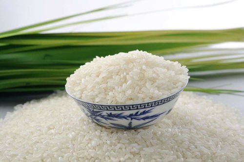 新年伊始,不妨来尝尝苏垦米业集团的新品种大米