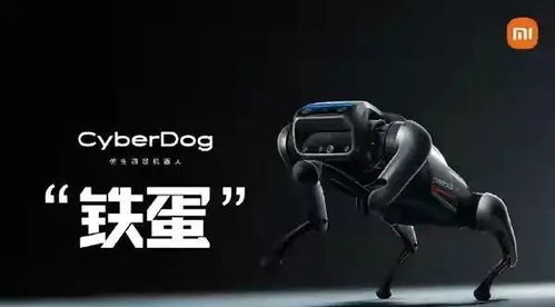 小米发布一只狗,售价9999元,直播弹幕不断刷 米狗 和 海狗