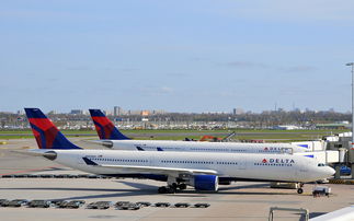 国内的航空学校,独家解析国内航空学校的“黑马”之路：培养精英飞行员的摇篮！