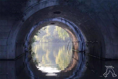 草坪野餐不如湖上野餐