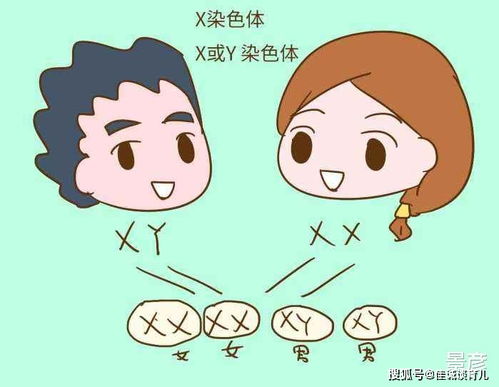 育儿专家坦言 孩子的智商和外表是从夫妇中的哪一方来的 这也太准了