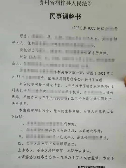 女法官活动总结范文_博德之门3要不要让影心成为暗夜法官？